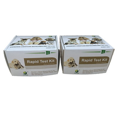 Green Spring CDV Ag kit de pruebas rápidas de molestia del perro envasado en pequeños 10 pruebas con todos los componentes para ejecutar las pruebas proveedor