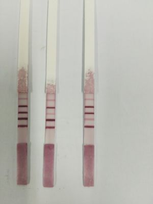 Tira reactiva rápida de estreptomicina-espectinomicina-kanamicina-neomicina 4 en 1 para antibióticos en leche proveedor