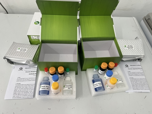 El anticuerpo contra la rabia ELISA kit de inmunoanálisis de la enzima Green Spring Test kit para perros 1 o 2 placas por caja proveedor