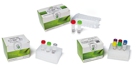 Brucella Melitensis Fluorescence PCR Kit Nucleic Acid Detection Kit for Brucella melitensis (Fluorescent PCR Method) proveedor