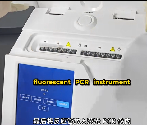 Peste des petits ruminants virus (PPRV) nucleic acid test kit (Fluorescent RT-PCR) PPR ONE-STEP RTPCR KIT proveedor