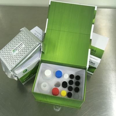 Kit de prueba ELISA de nitrofurano (AOZ) de diagnóstico de seguridad alimentaria LSY-10002 para peces, camarones, miel, huevos y piensos proveedor